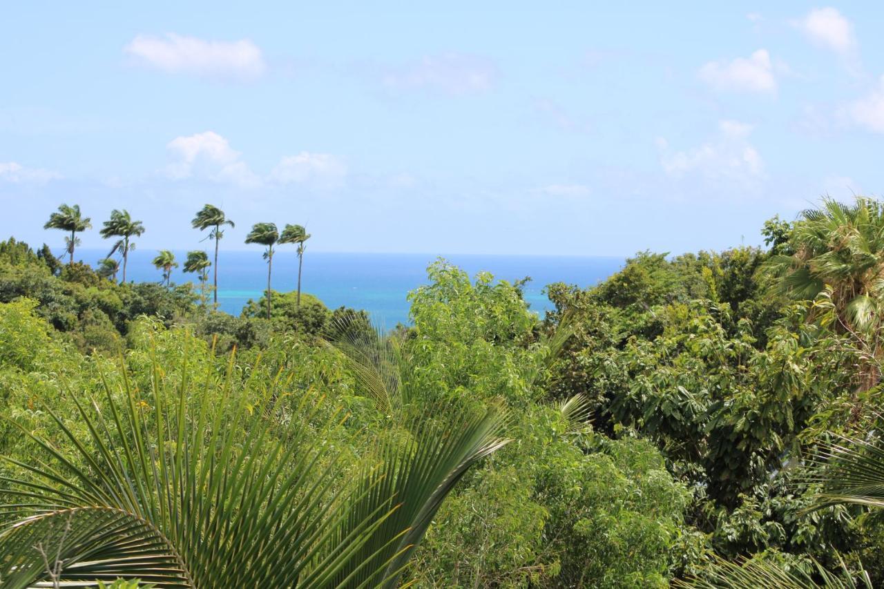 Villa Ecrin De Nature 圣罗斯 外观 照片